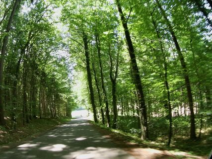 Schattige Passagen lassen das Radlerherz abkühlen.