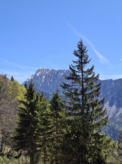 Fotografie z Miha Gros na trase