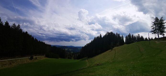 Fotografia z Klaus Lehner na trase