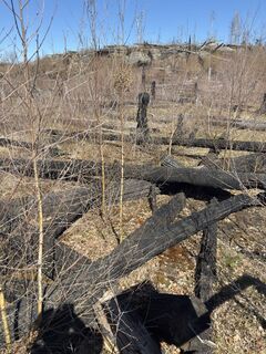 Foto von Steffen Kiesel entlang der Tour