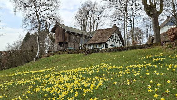 Foto von Jacques Janissen entlang der Tour