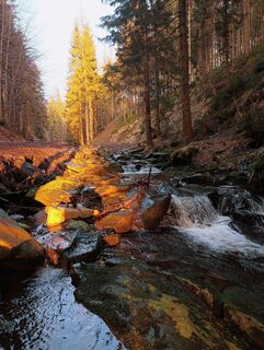Fotó a Romek Dwornik honlapról a túra során