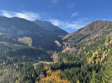 Fotografia z Firma Pool1 Hackl Roman na trase