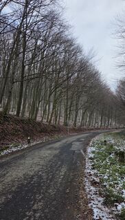 Foto von János Zsolt Mahr entlang der Tour