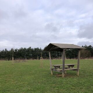 Park der Gänsefuß