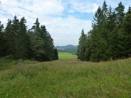 HI_RW8_P1070718_Sicht_FotoVF
