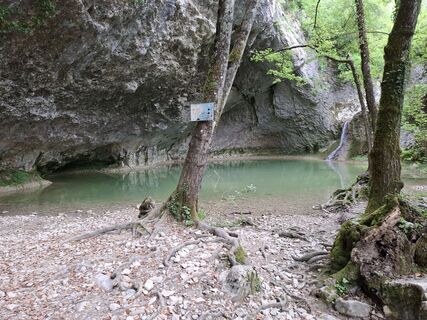 Foto von nordbergschnecke entlang der Tour