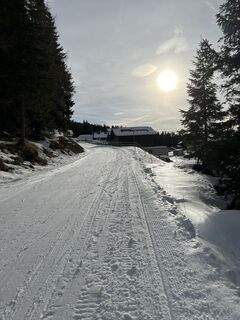 Foto de Schabsi a lo largo del recorrido