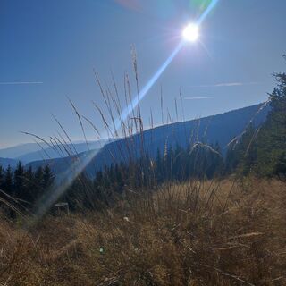 Foto von SiMy Samitz entlang der Tour