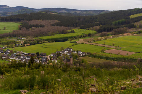 Blick auf Albaum