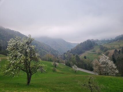 Fotografija s spletne strani Grizli na poti