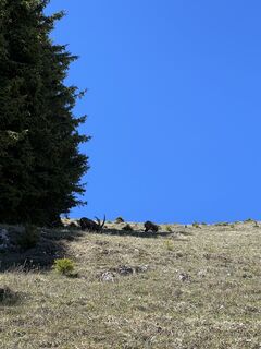 Foto de Sissi Maria Kaiser a lo largo del recorrido