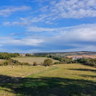 Stadtilm, Blick vom Hamsterberg