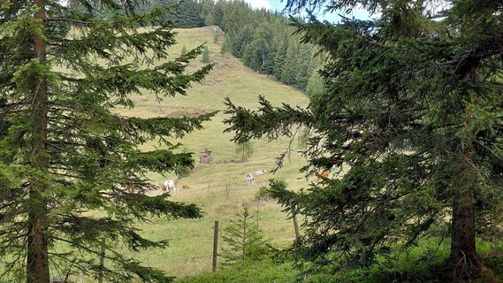 Foto von Wolfgang Arlic 1 entlang der Tour