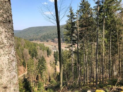 Aussicht auf das Kleinenztal