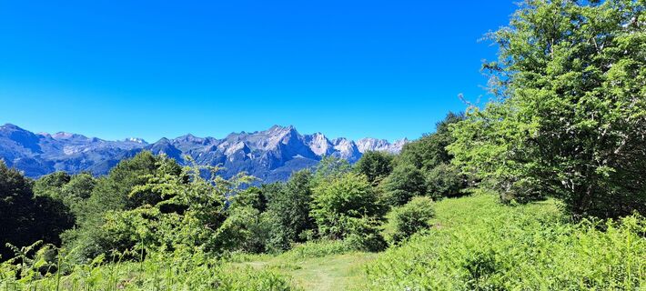 Fotografija s spletne strani Thomas Ladstaetter na poti