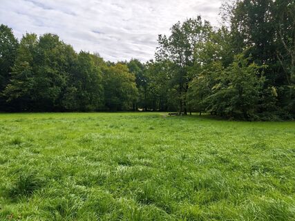 Photo de Dr. Hans Jürgen Groß (Be.Co.Me.) le long du parcours