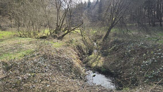 Zdjęcie z Katja Senkel wzdłuż trasy