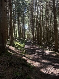 Foto von Philipp Türtscher entlang der Tour