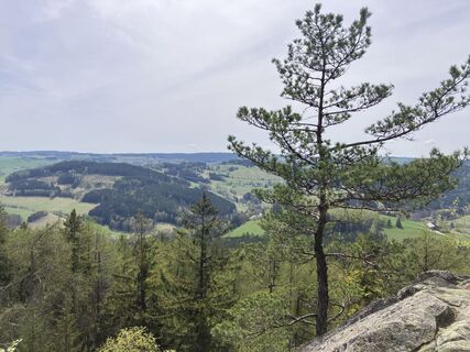 Foto de Rosťa Krejčí a lo largo del recorrido