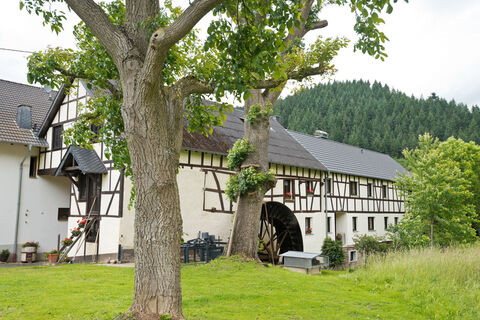 Hahnensteiner Mühle bei Insul