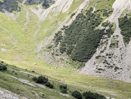 Foto de Arne Schlieder a lo largo del recorrido