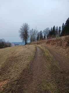 Fotografia z Burgim65 na trase