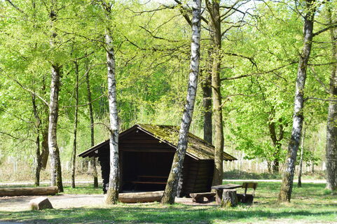Wandern Birkenhütte(C)Stadt.JPG