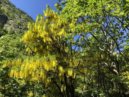Photo de “Jerry” Brunetti le long du parcours