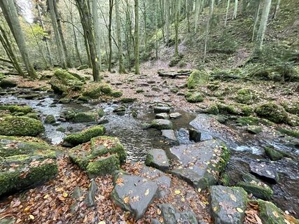 Foto von holgerwag entlang der Tour