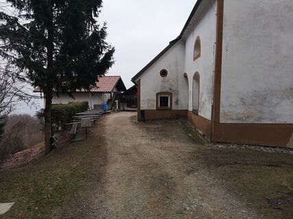 Foto von Cvetka Salamon entlang der Tour