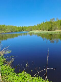 Foto von Gerd Stüwe entlang der Tour