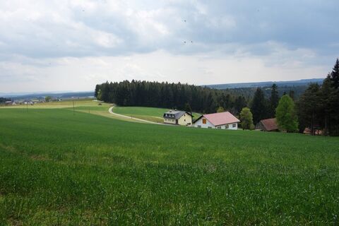 Breitreute