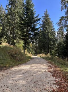 Photo de Heinz Sperl le long du parcours