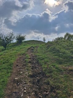 Fotografie z Marco Pezzuolo na trase