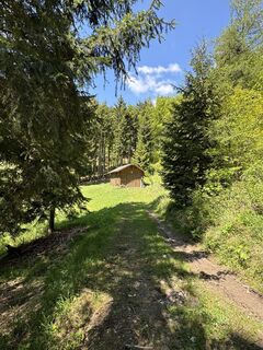 Foto von Gerhard Piglmann entlang der Tour