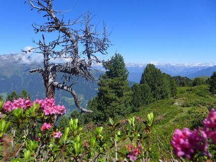 Sommer 2016 1024x768.jpg
