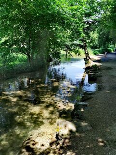 Photo de Chris Schöbben le long du parcours