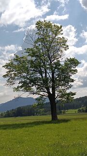 Fotografia z Bergpirat na trase