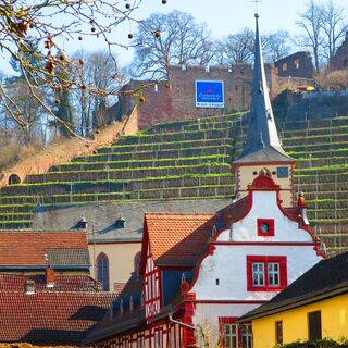 Burgruine Clingenburg