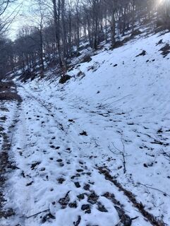 Photo de Daniele Berini le long du parcours
