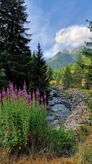 Fotografia z Fabrizi Mellano na trase