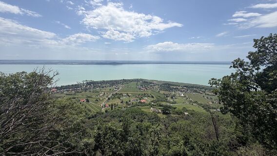 Fotografija s spletne strani Laszlo Barta na poti