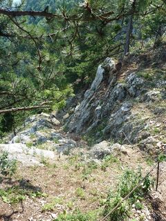 Oberer Teil des Steigs (18.7.2014)