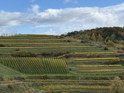 Foto von Ilona Schuster entlang der Tour