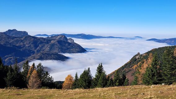 Fotografija s spletne strani Gerhard Faugel na poti