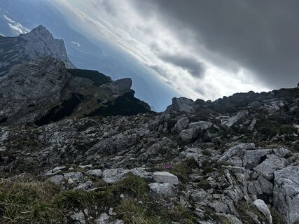 Foto von Carola Krems entlang der Tour