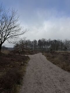 Foto von Babita entlang der Tour