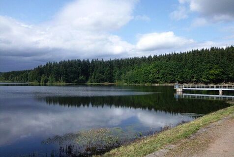 Frankenteich bei Straßberg