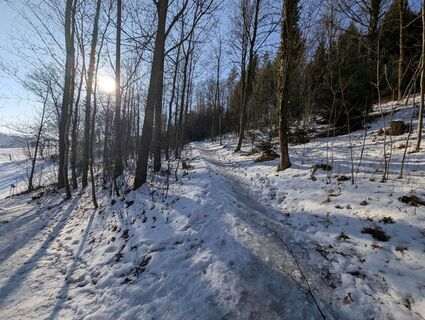 Photo de Stefan Bock le long du parcours